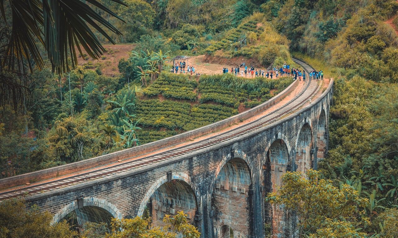 nine arch bridge, railroad, bridge, arches, architecture, structure, tea plantation, tea farm, people, trees, vegetation, lush, greenery, railway, train tracks, tracks, railway system, ella sri lanka, ella, sri lanka, nature, travel, nine arch, ella, ella, ella, ella, sri lanka, sri lanka, sri lanka, sri lanka, sri lanka