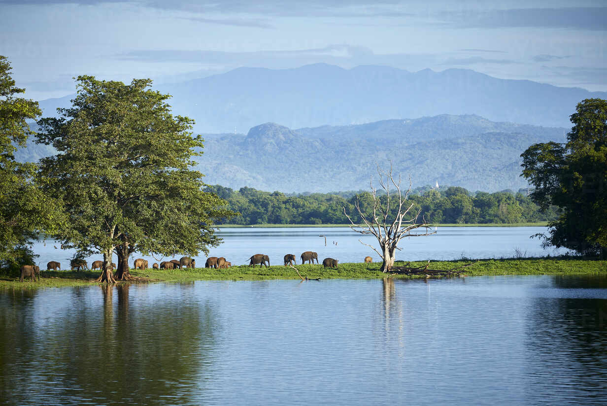 Udawalawe Reservoir